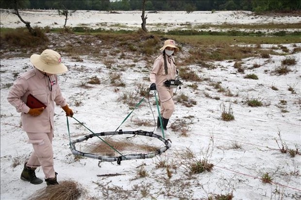 quang tri over 25,000 ha of land cleared from war-left uxos picture 1