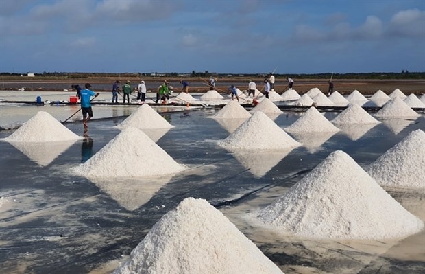 vietnam s salt industry must adapt official picture 1