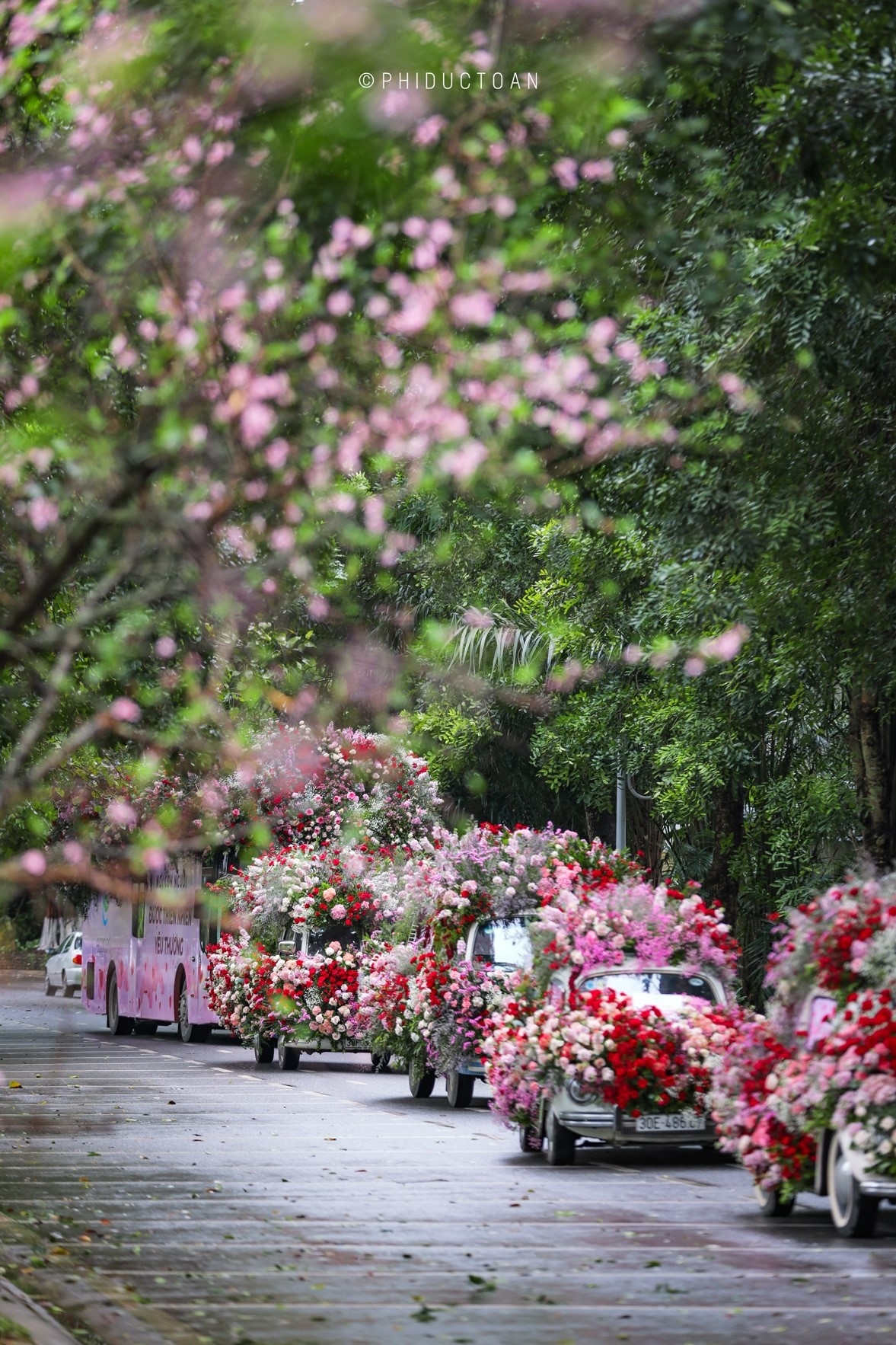Rừng hoa khổng lồ này được  Ecopark tạo thành bởi 99.999 bông hồng; và  trang trí trên những chiếc xe đạp, xe cổ và bus 2 tầng xinh xắn.