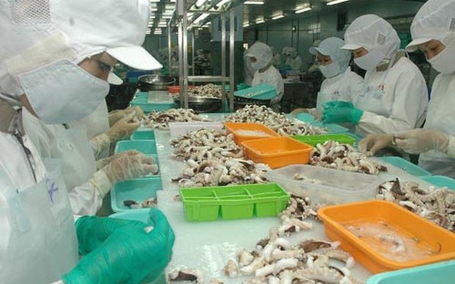 rok represents largest importer of vietnamese squid, octopus picture 1