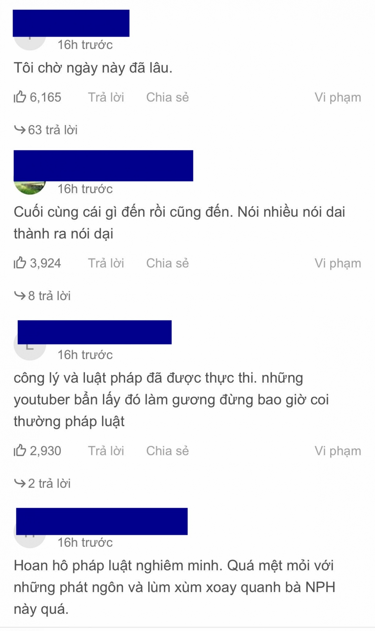 vu bat nguyen phuong hang du la ai, neu vi pham phap luat thi deu phai nghiem tri hinh anh 3