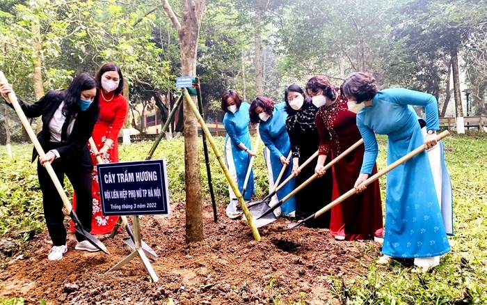 phu nu thu do huong ung tuan le ao dai hinh anh 2