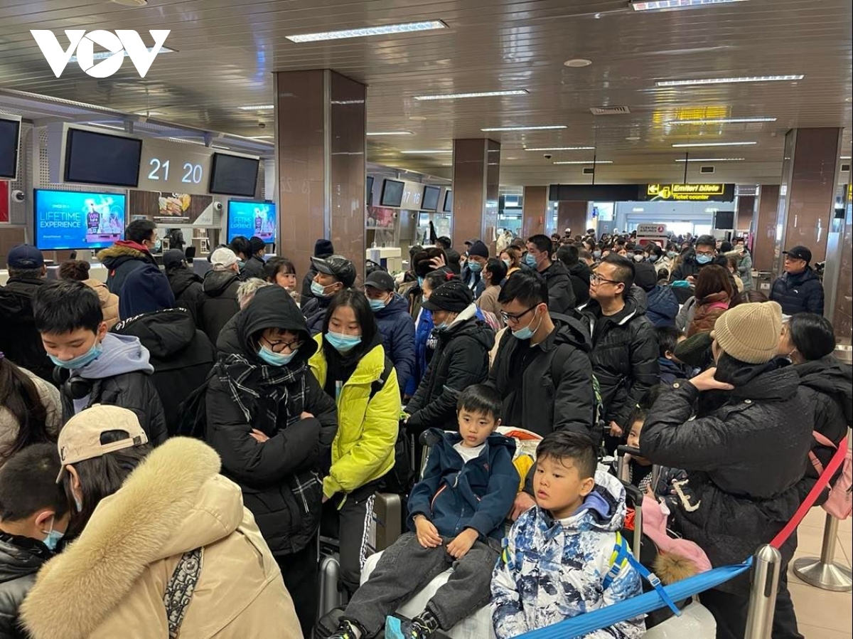 second flight from romania brings 291 vietnamese evacuees from ukraine back home picture 4