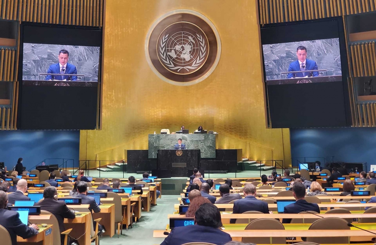 Ambassador Dang Hoang Giang addresses a UN Security Council emergency meeting on March 23.