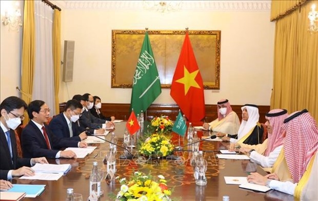 foreign minister bui thanh son holds talks with saudi arabian counterpart picture 1