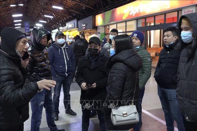 hundreds of vietnamese evacuated from ukraine to romania picture 1