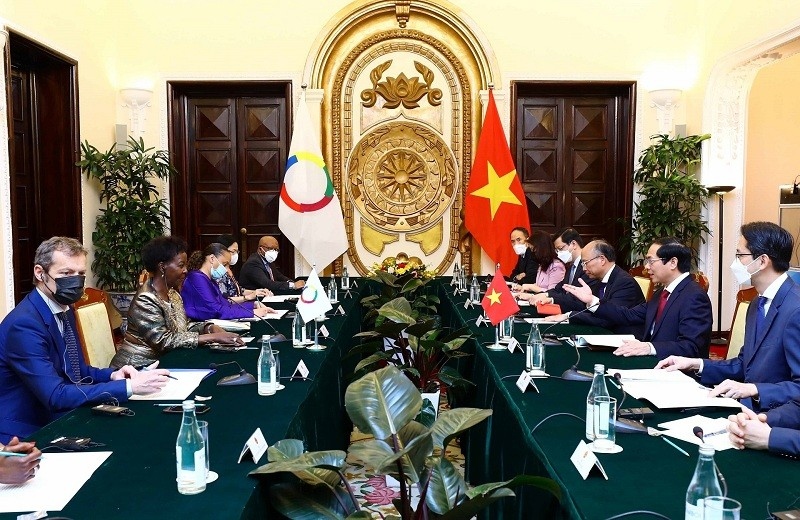 vietnam and oif affirm close co-operation during hanoi talks picture 1