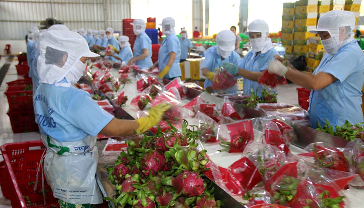 vietnam enjoys us 4.8bln in trade surplus with uk picture 1