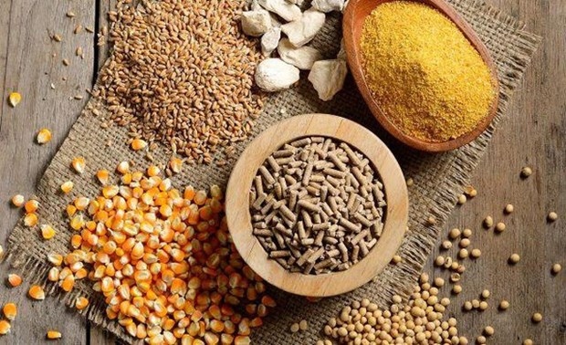 over us 9 bln spent on import of animal feed raw materials picture 1