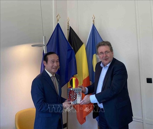 brussels-capital region seeks stronger cooperation with vietnamese localities picture 1