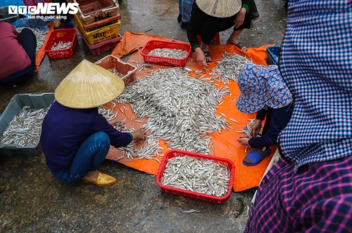 ngu dan ha tinh trung dam hang chuc tan ca com hinh anh 11