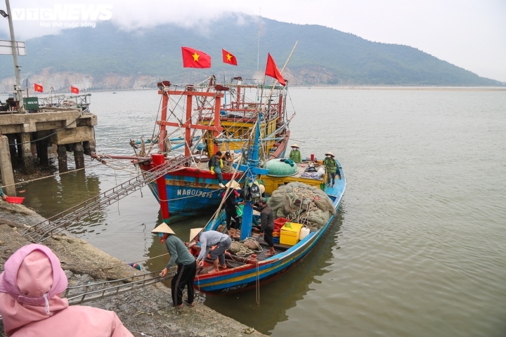 ngu dan ha tinh trung dam hang chuc tan ca com hinh anh 2