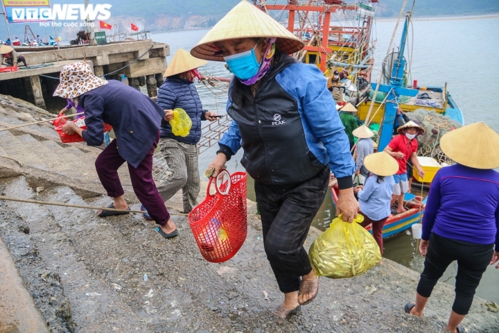 ngu dan ha tinh trung dam hang chuc tan ca com hinh anh 5