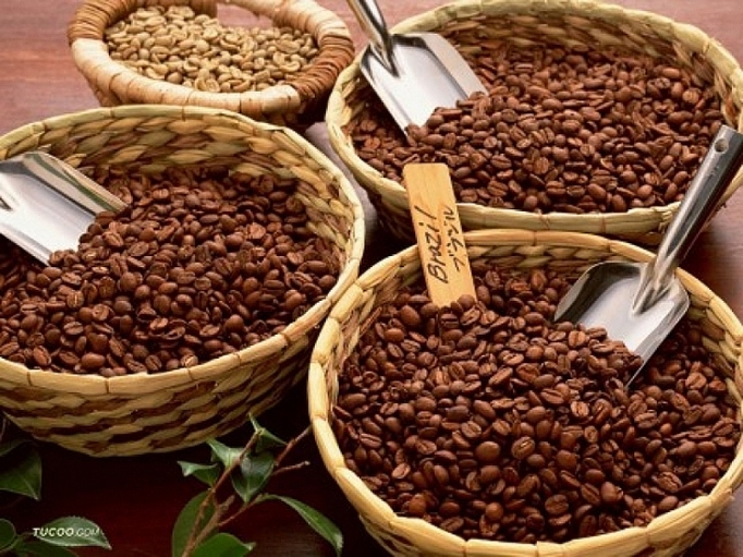 coffee exports record impressive growth in first quarter picture 1