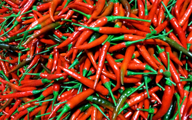 china resumes importing vietnamese fresh chilies picture 1