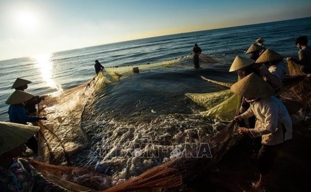 greater efforts to fight iuu fishing towards sustainable fisheries picture 1 greater efforts to fight iuu fishing towards sustainable fisheries picture 1