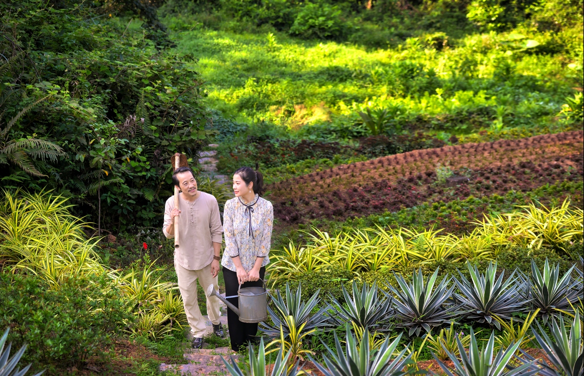 Anh tinh cam dep nhu mo cua Dam hang, thanh binh loi ve mien hoa hinh anh 12