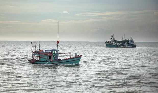 vietnam boosts satellite-based vessel monitoring to eradicate iuu fishing picture 1