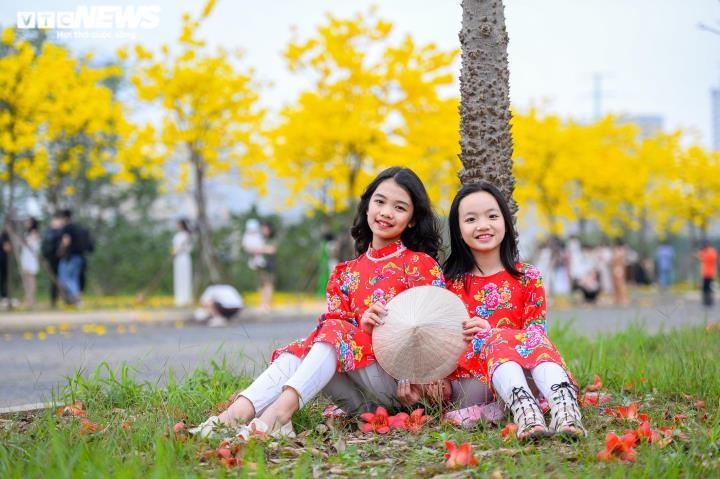 yellow flowers add brilliant glow to hanoi urban area picture 7