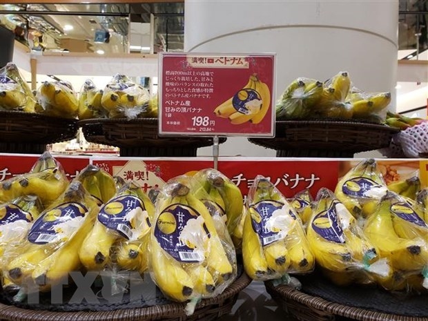 vietnamese products expected to penetrate deeply into japan s retail system picture 1 vietnamese products expected to penetrate deeply into japan s retail system picture 1