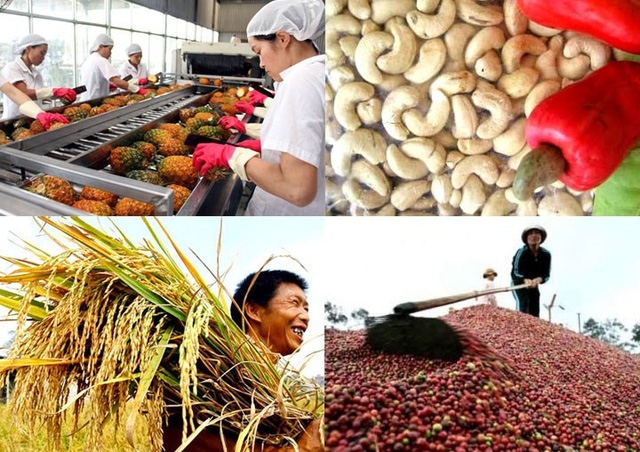 how to help agricultural businesses promote exports to turkish market picture 1