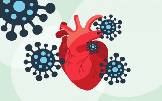 Biến chứng tim mạch hậu COVID-19 có thể xảy ra ở người có sẵn bệnh nền tim mạch và cả ở người khỏe mạnh.