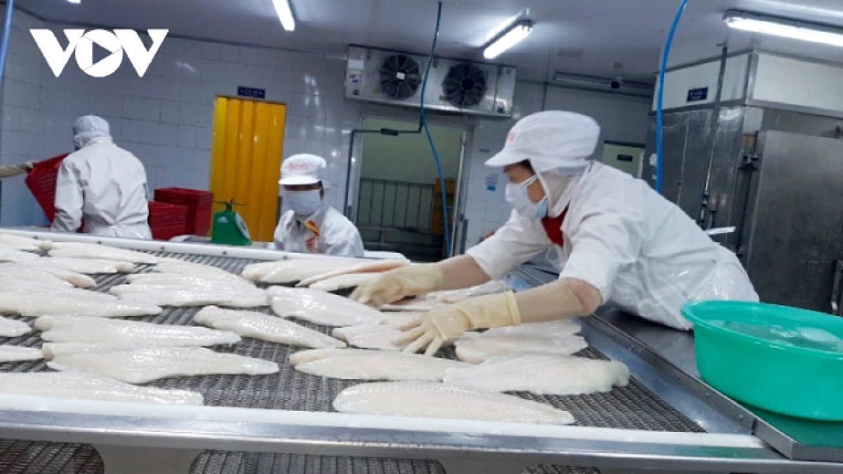 more vn seafood exporters not subject to us anti-dumping tariffs picture 1