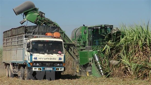 anti-dumping investigation into cane sugar extended picture 1