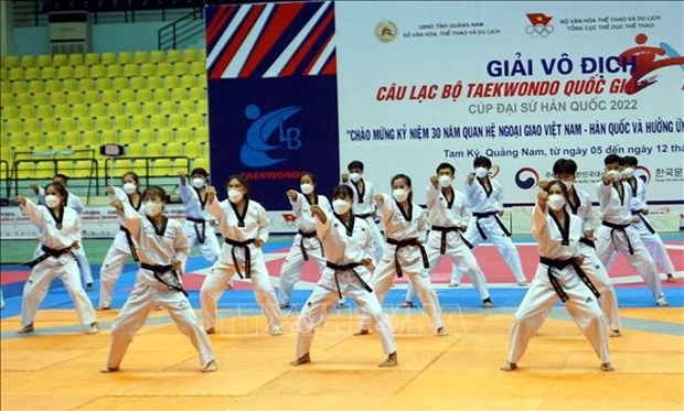 taekwondo tournament marks 30 years of vietnam-rok ties picture 1