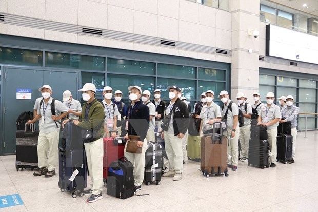 koreans hope for re-consideration of tightened medical measures on arrivals from vietnam picture 1
