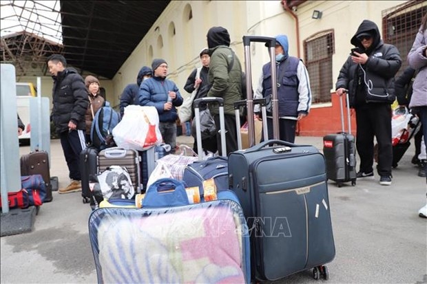 vietnamese embassy in germany works hard to support vietnamese evacuee from ukraine picture 1