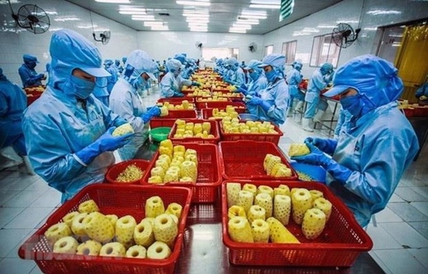 vietnam works to foster farm produce exports to us picture 1