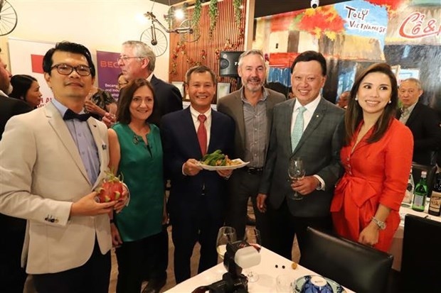 boosting australia s investment in vietnam picture 1