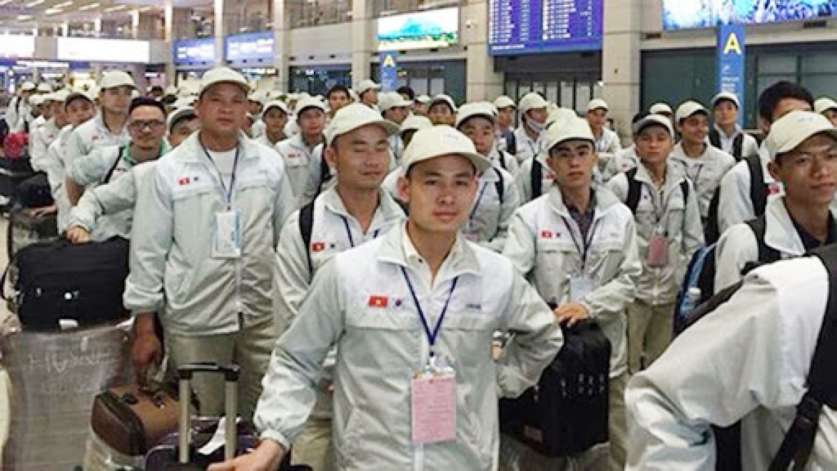 vietnamese workers ready for reopened overseas labour market picture 1