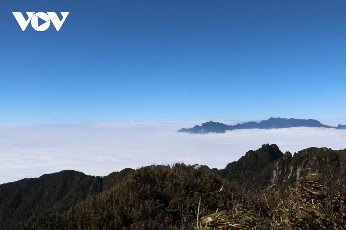 explore wide beauty of ta lien son mountain in lai chau picture 10