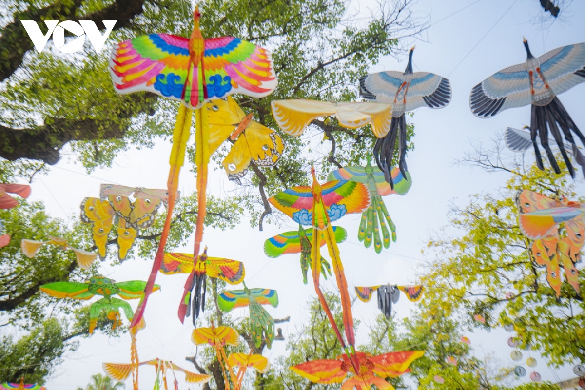kites flying high in the sky in central vietnam picture 11