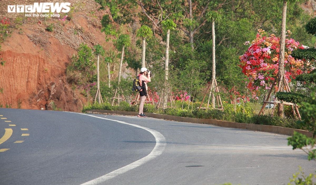 Nữ du khách nước ngoài tranh thủ ghi lại những hình ảnh đẹp tại một điểm vọng cảnh trên tuyến đường xuyên đảo Cát Bà.