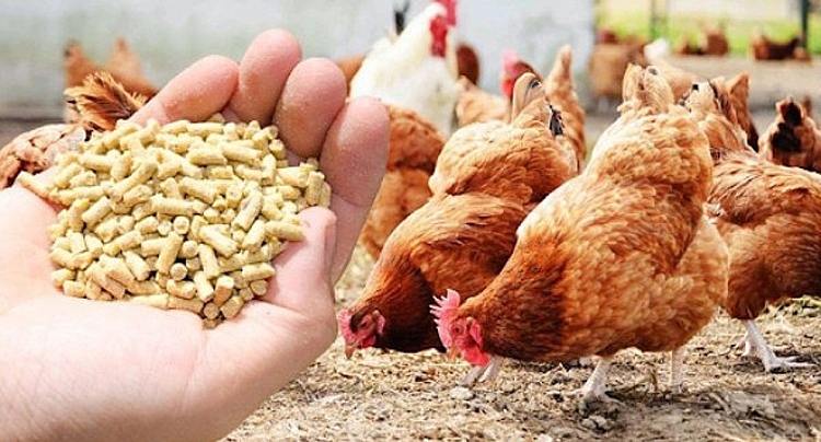 animal feed exports to the us rise sharply picture 1