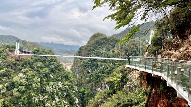 Cầu kính đi bộ dài nhất thế giới tại cao nguyên Mộc Châu sẽ hoạt động vào dịp lễ 30/4