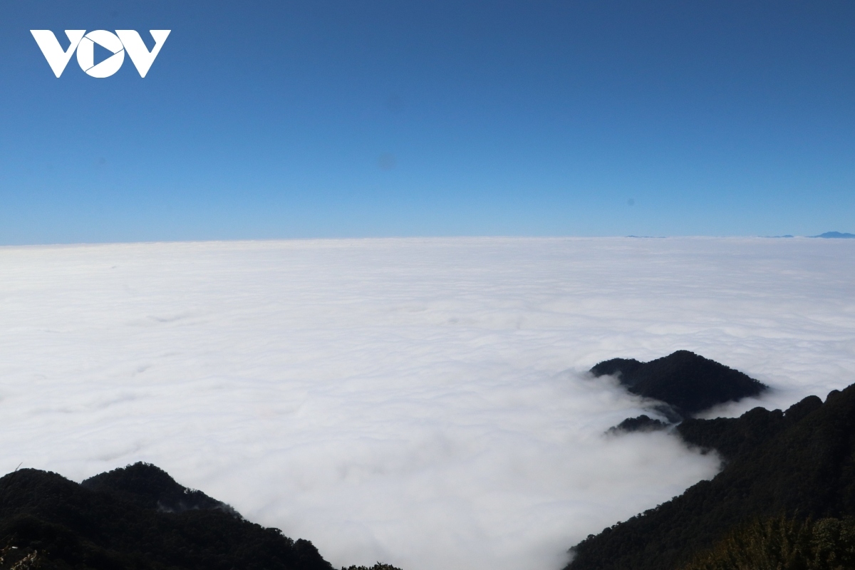 explore wide beauty of ta lien son mountain in lai chau picture 9