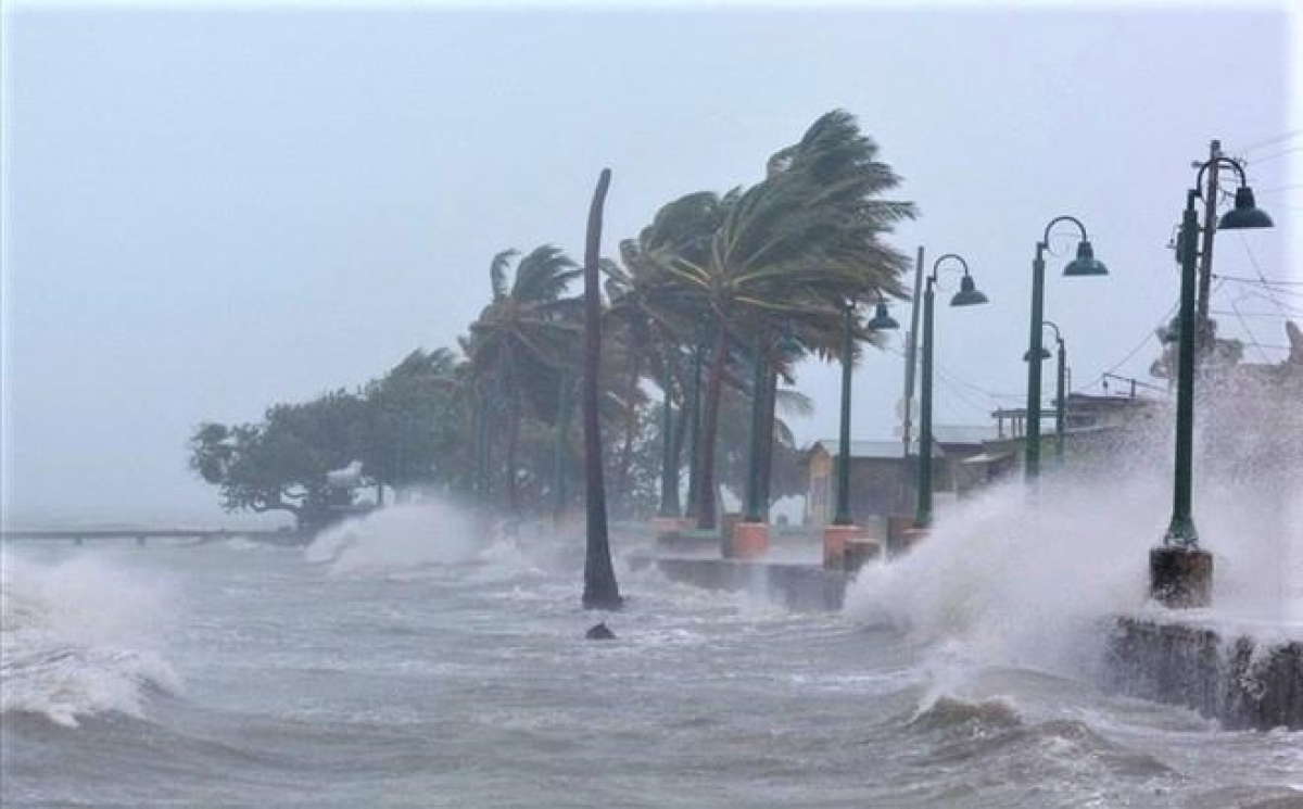 tropical depression and two storms to enter east sea this week picture 1