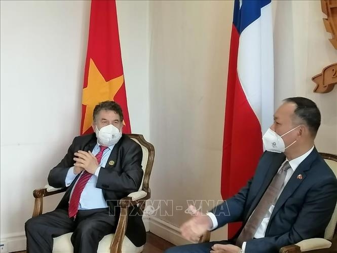 chile seeks stronger co-operation with vietnamese localities picture 1