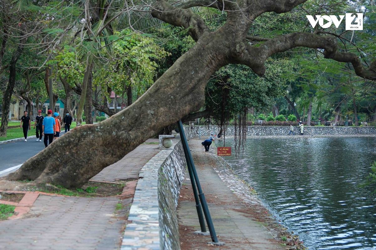 cong vien thong nhat ha noi xuong cap tram trong hinh anh 8