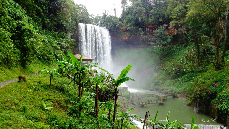 Dambri Waterfall (Photo: memoriesbaoloc.com)