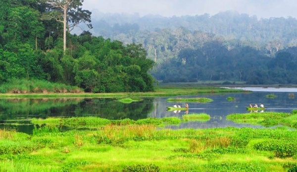 The Cat Tien Natural Park - part of the Dong Nai Biosphere Reserve in the southern province of Dong Nai. (Photo: quehuongonline.vn)