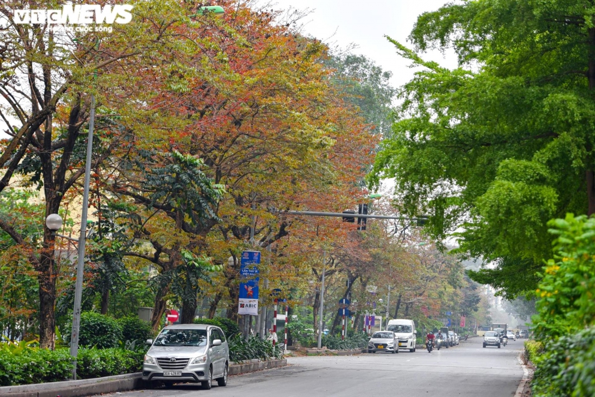 hanoi coated with charming look during leaf changing season picture 1