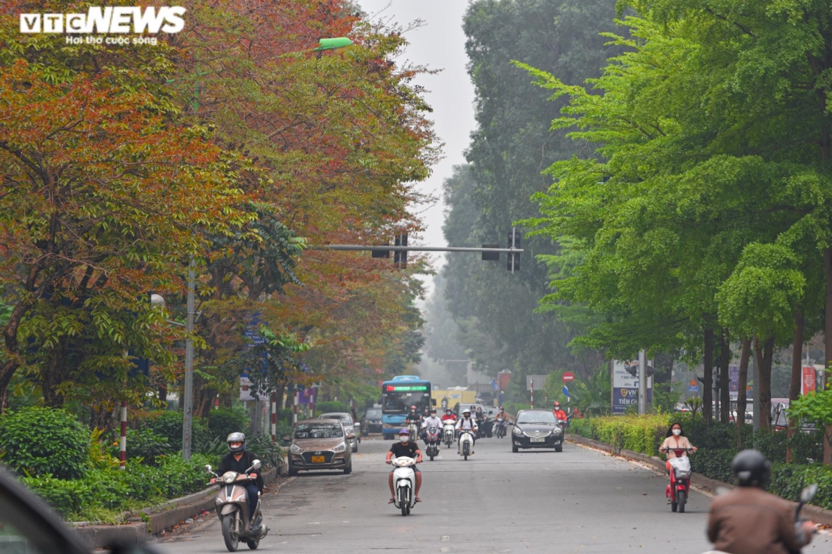 hanoi coated with charming look during leaf changing season picture 5