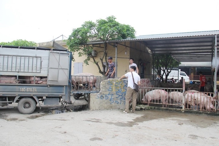 Heo hơi vừa rục rịch tăng, giá thịt ở chợ đã nhảy vọt