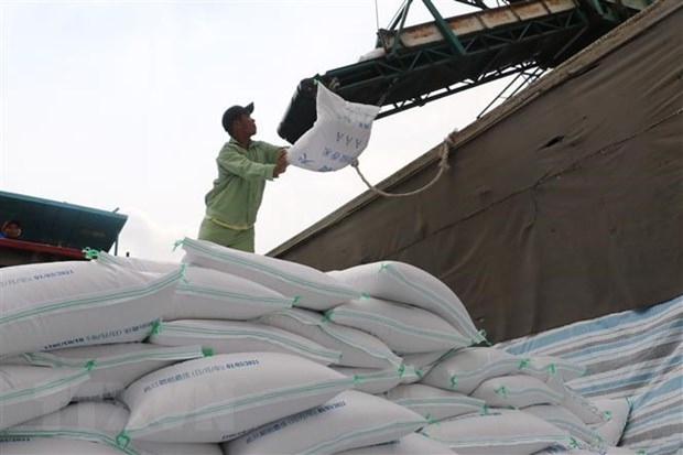 vietnam s rice export turnover up 10.5 in q1 picture 1