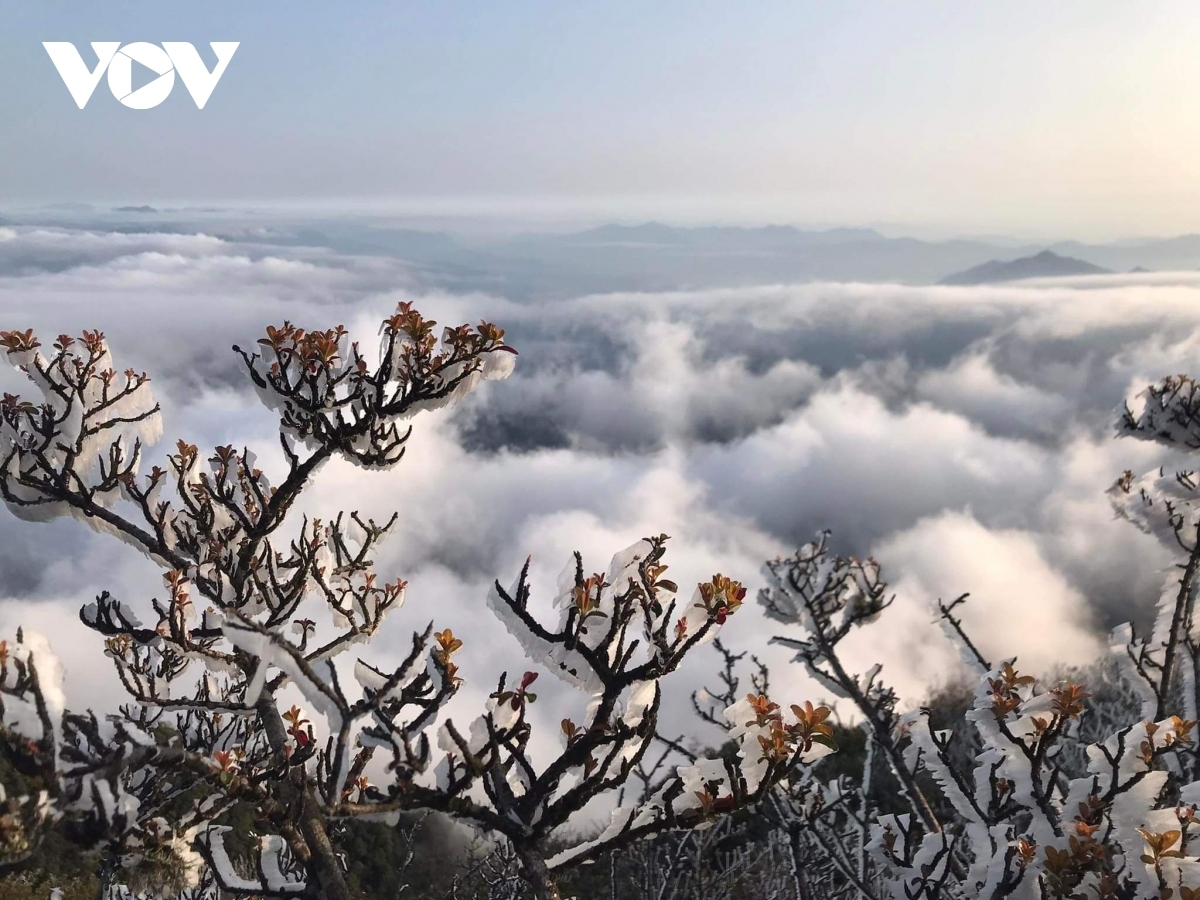 northwestern mountainous area covered in frost amid strong cold spell picture 5